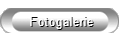 Fotogalerie